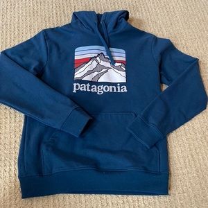 Teal Patagonia uprisal hoodie reg fit
